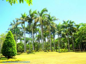 Naga City Ecology Park