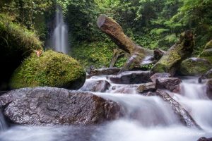 Isarog Springs