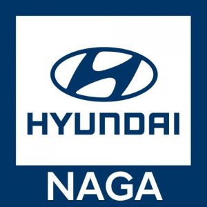 Hyundai Naga